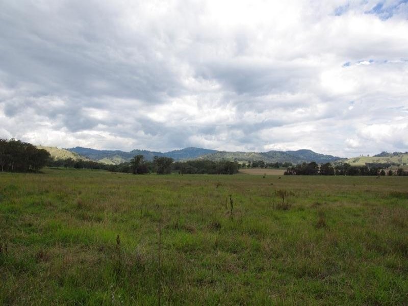 102 New England Highway, Willow Tree NSW 2339