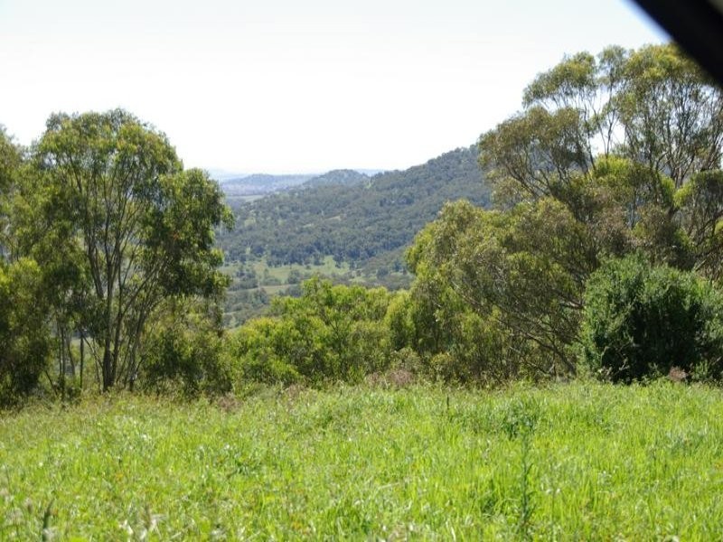 . Glen Moan Woolshed Road, Willow Tree NSW 2339