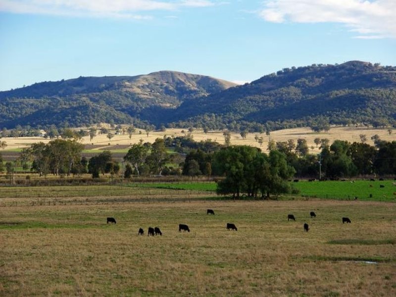 101 Bunnan Road, Scone NSW 2337