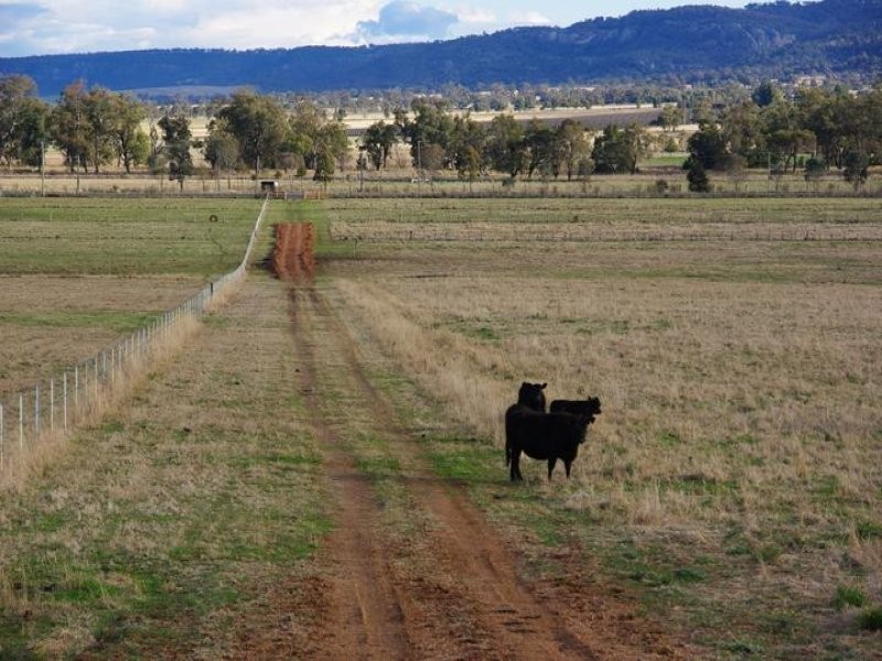 101 Bunnan Road, Scone NSW 2337