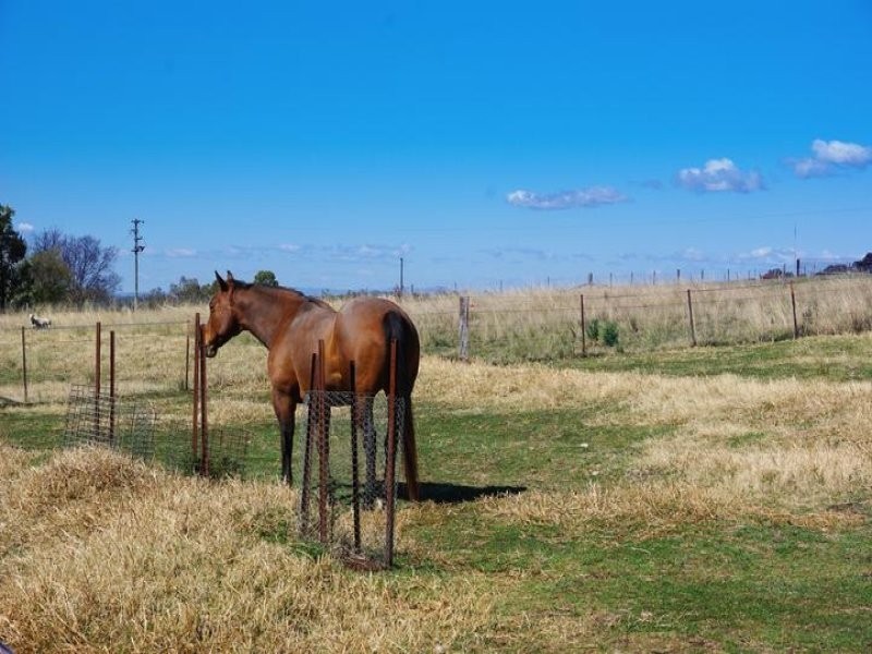 12 Tullong Road, Scone NSW 2337