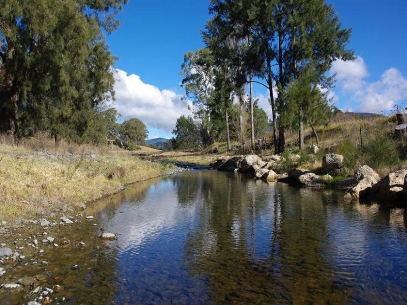 Haydon Street, Murrurundi NSW 2338