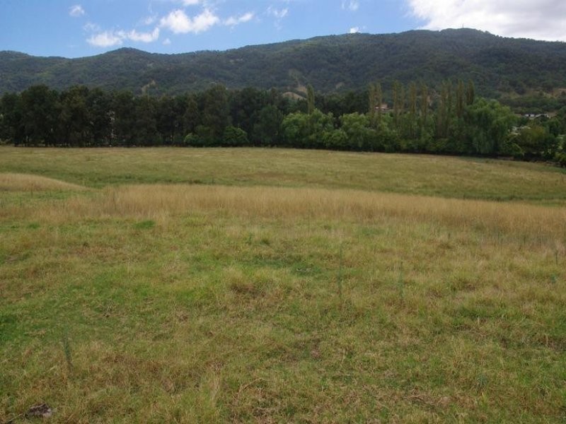 Haydon Street, Murrurundi NSW 2338