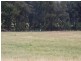 Haydon Street, Murrurundi NSW 2338