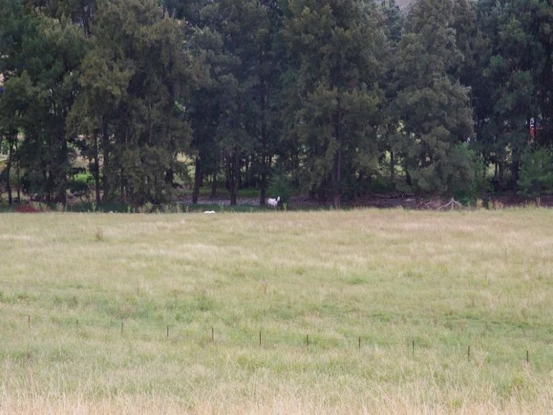 Haydon Street, Murrurundi NSW 2338