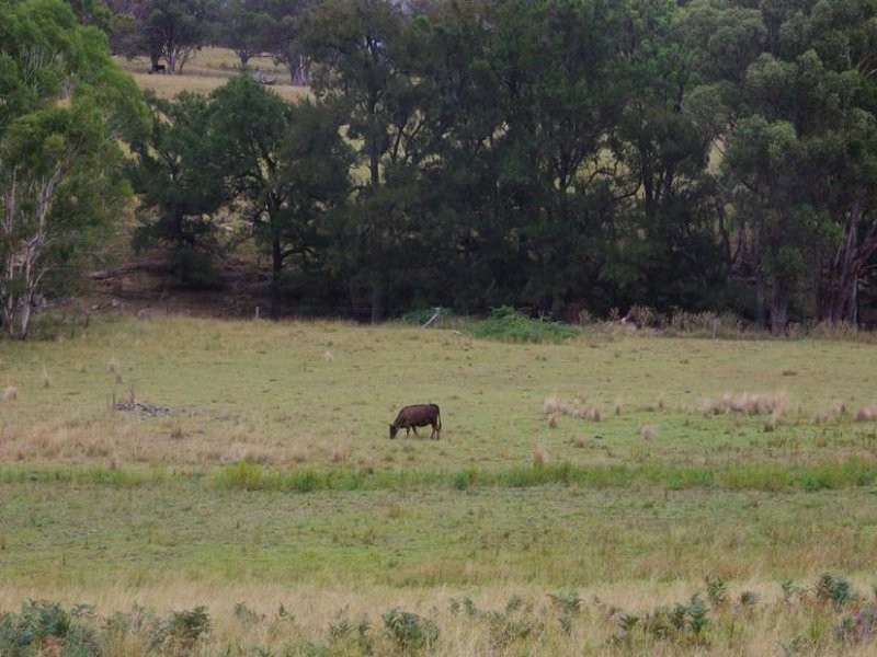 Haydon Street, Murrurundi NSW 2338