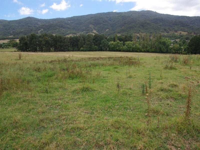 Haydon Street, Murrurundi NSW 2338