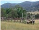 Haydon Street, Murrurundi NSW 2338