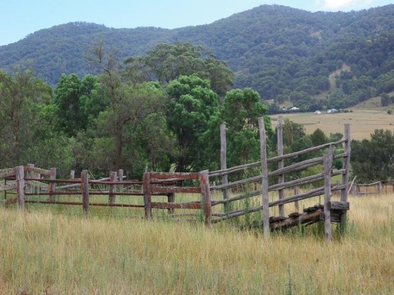 Haydon Street, Murrurundi NSW 2338