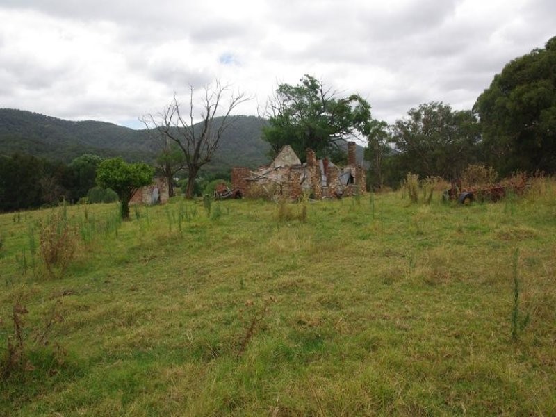 Haydon Street, Murrurundi NSW 2338