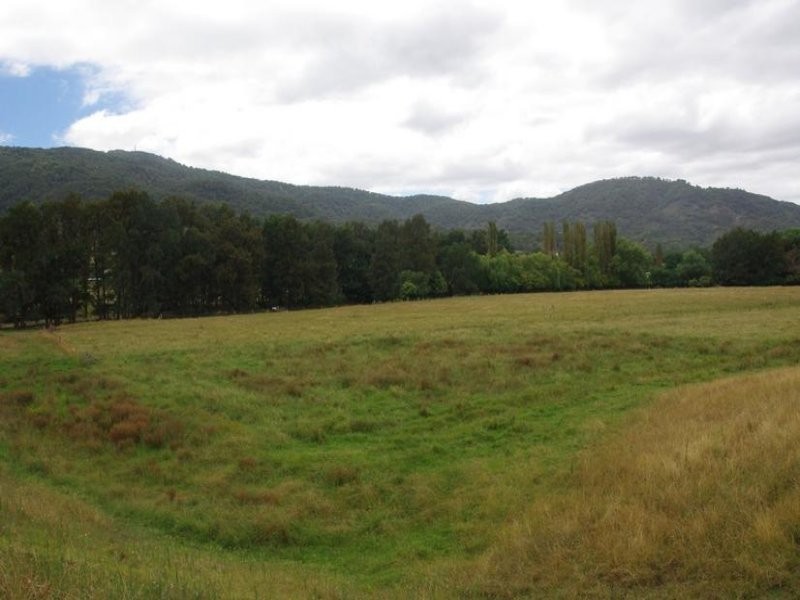 Haydon Street, Murrurundi NSW 2338