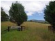 Haydon Street, Murrurundi NSW 2338