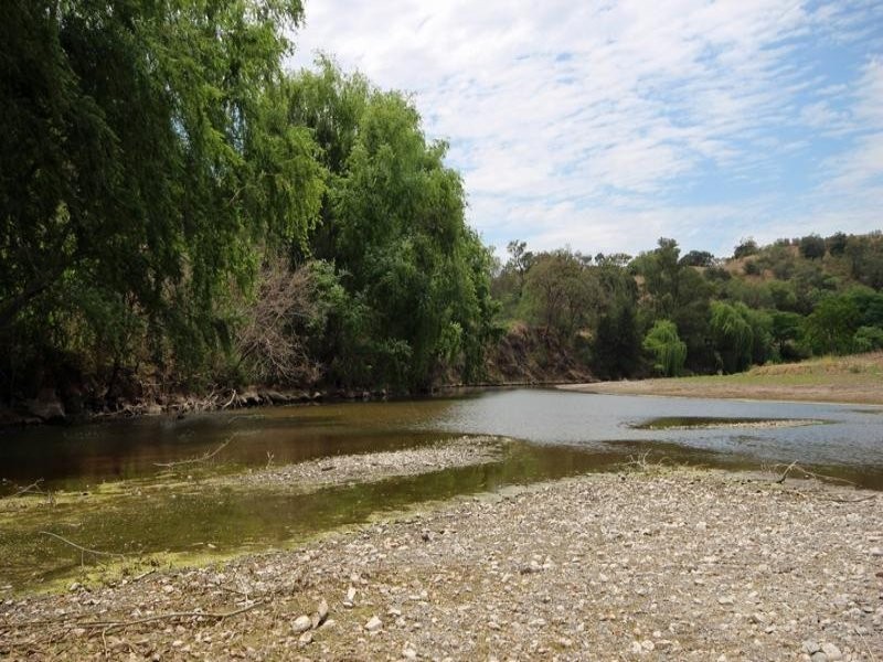 1265 Gundy Road, Scone NSW 2337