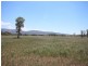 112 Cliftlands Road, Scone NSW 2337