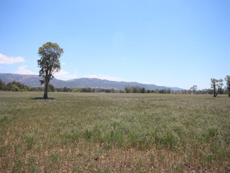 112 Cliftlands Road, Scone NSW 2337