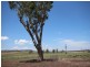 112 Cliftlands Road, Scone NSW 2337