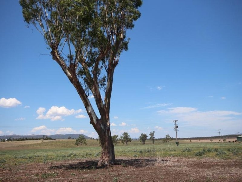112 Cliftlands Road, Scone NSW 2337