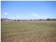 112 Cliftlands Road, Scone NSW 2337