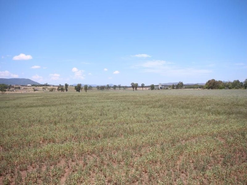 112 Cliftlands Road, Scone NSW 2337