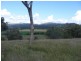 Willow Tree NSW 2339