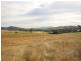 924 Rouchel Road, Scone NSW 2337