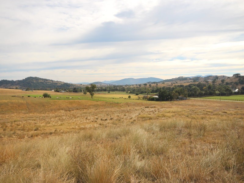 924 Rouchel Road, Scone NSW 2337
