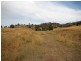924 Rouchel Road, Scone NSW 2337