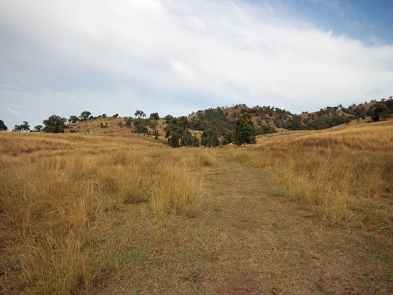 924 Rouchel Road, Scone NSW 2337