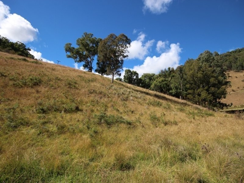 Lot 102, . Stewarts Brook Road, Scone NSW 2337