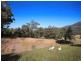 298 Dry Creek Road, Scone NSW 2337