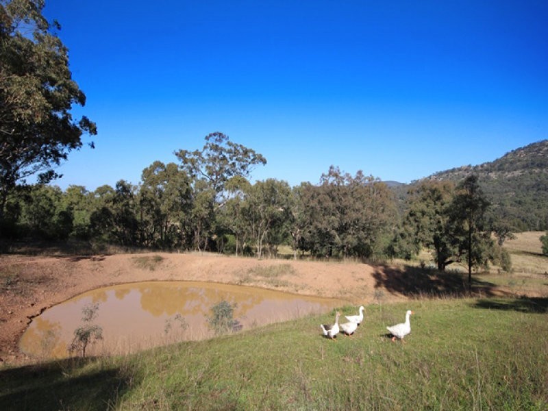 298 Dry Creek Road, Scone NSW 2337
