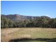 298 Dry Creek Road, Scone NSW 2337