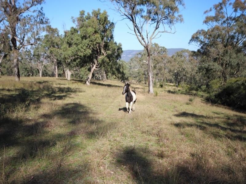 298 Dry Creek Road, Scone NSW 2337