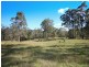 298 Dry Creek Road, Scone NSW 2337