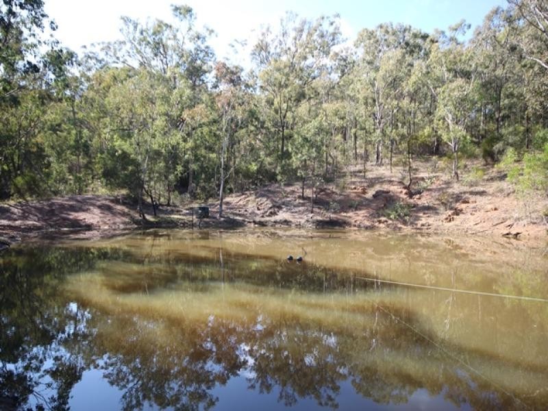 298 Dry Creek Road, Scone NSW 2337