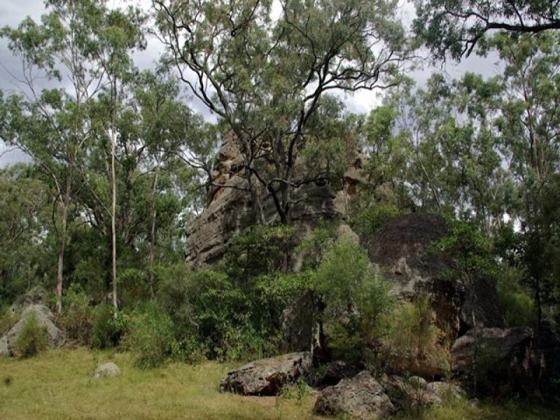 298 Dry Creek Road, Scone NSW 2337