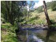 , Scone NSW 2337