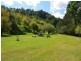 , Scone NSW 2337