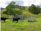 , Scone NSW 2337