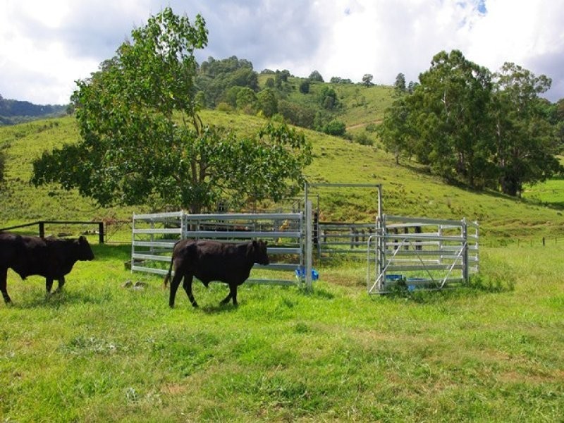 , Scone NSW 2337
