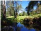 465 Dry Creek Road, Scone NSW 2337