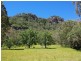 465 Dry Creek Road, Scone NSW 2337