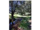 465 Dry Creek Road, Scone NSW 2337