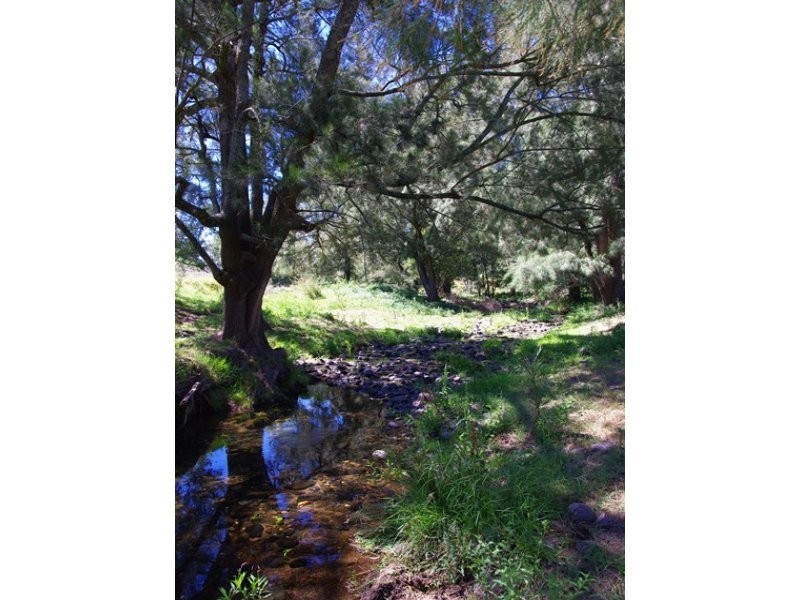 465 Dry Creek Road, Scone NSW 2337