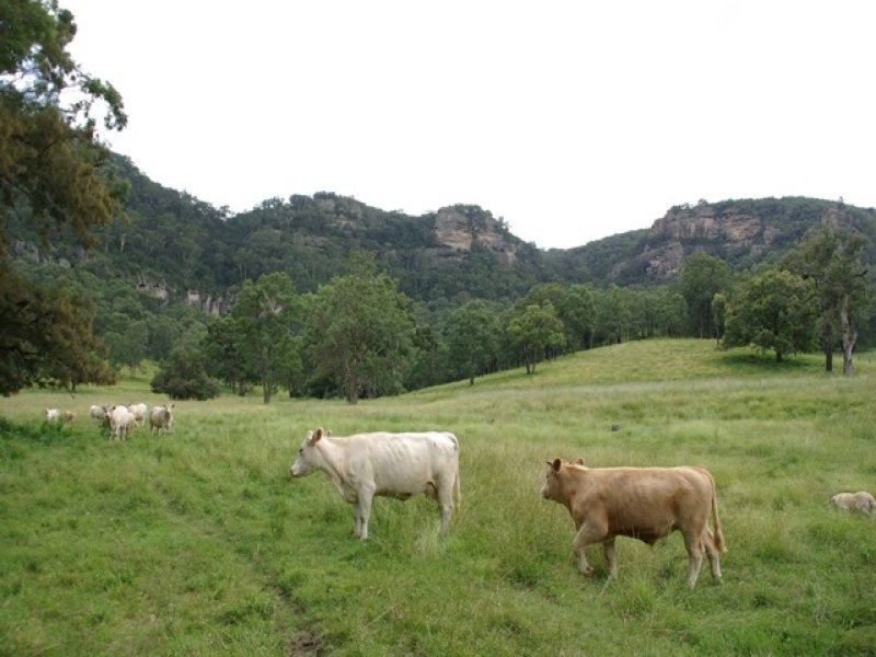 465 Dry Creek Road, Scone NSW 2337