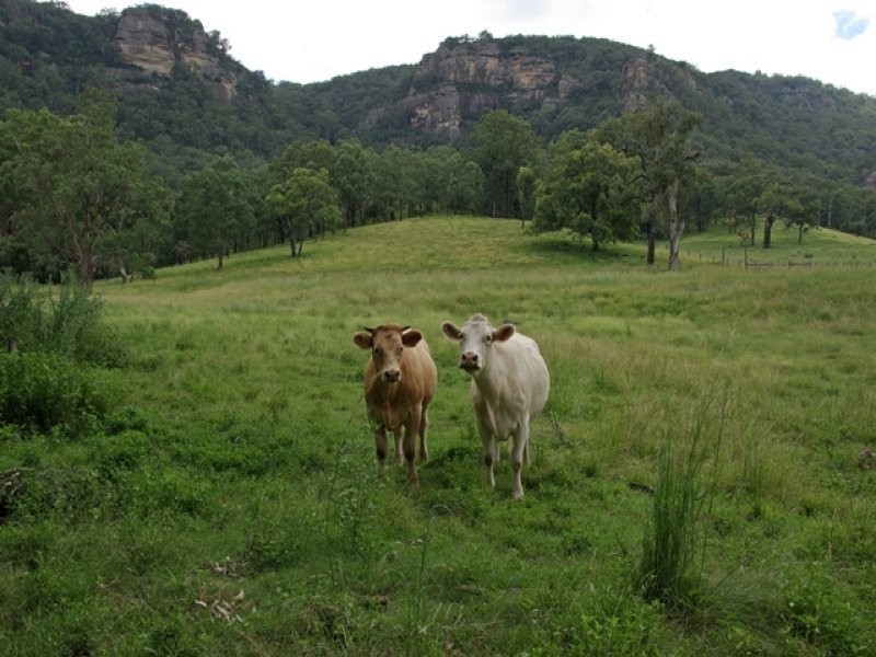 465 Dry Creek Road, Scone NSW 2337