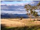 2/280 Moobi Road, Scone NSW 2337