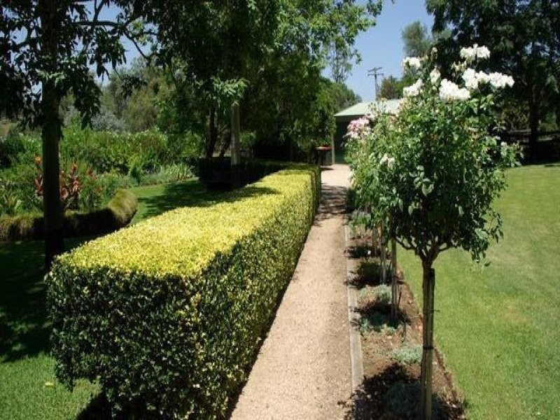 1655 Gundy Road, Scone NSW 2337