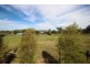 8 Vernon Street, Wingen NSW 2337