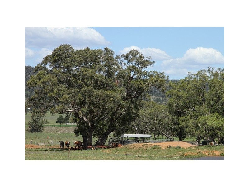 560 Westwood Road, Merriwa NSW 2329